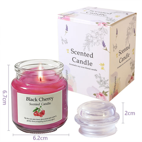 Aromatherapy Scented Candles