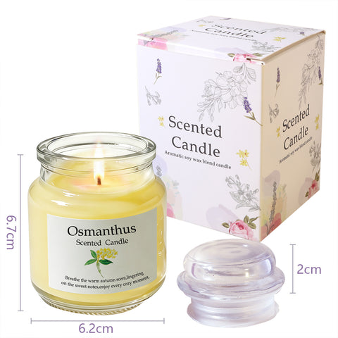 Aromatherapy Scented Candles